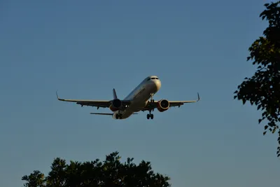 DSC_5691 (Large).JPG